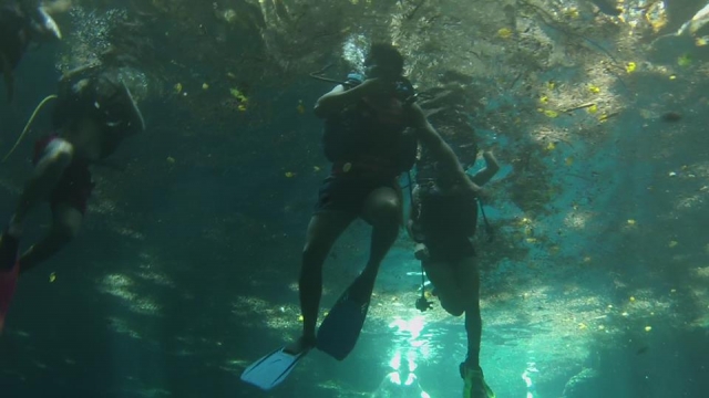  expérience dans les cenotes 
